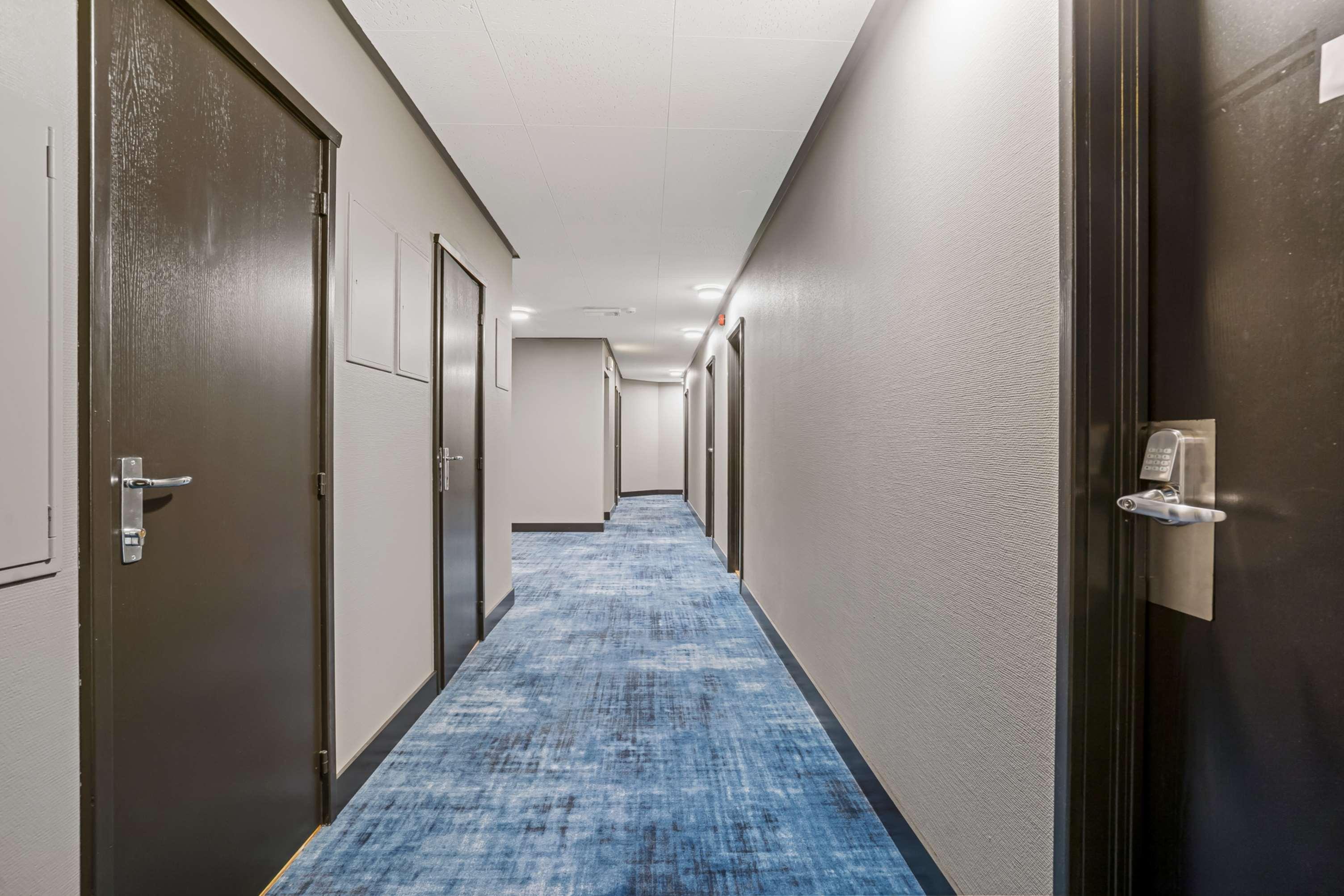 Hotel Easy 3*